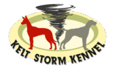Kelt Storm